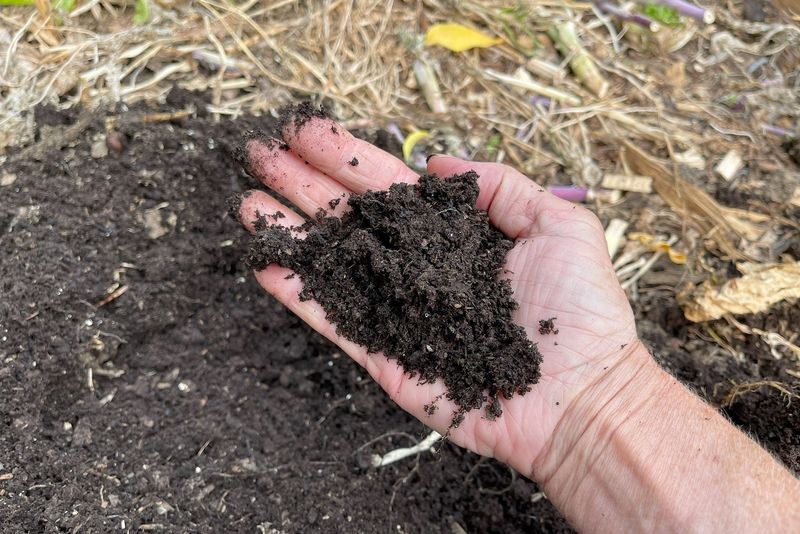 Start with Loose, Well-Draining Soil