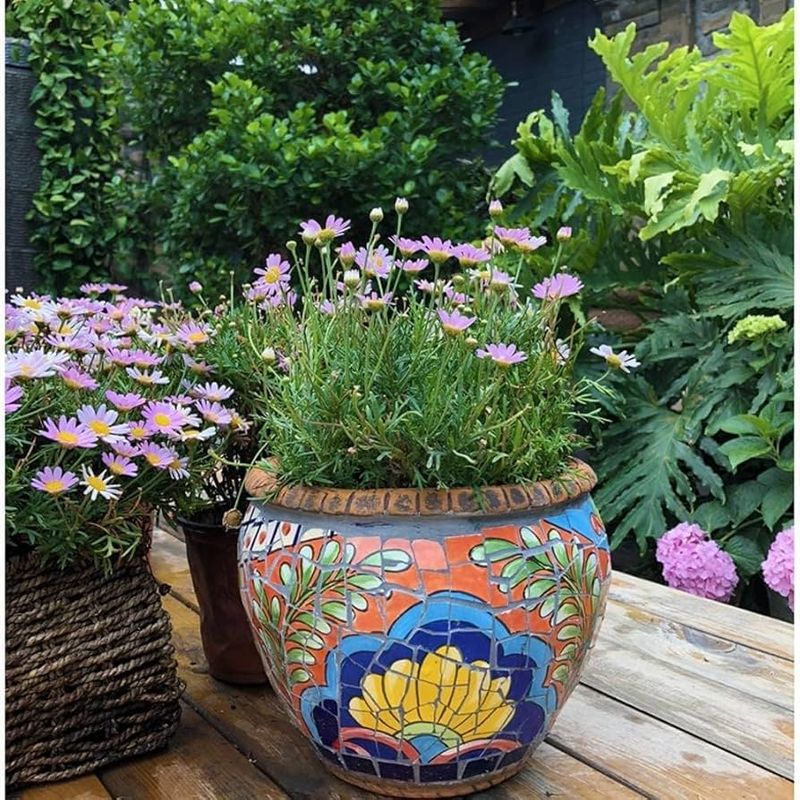 Use Colorful Containers