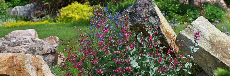 Provide Well-Drained Soil