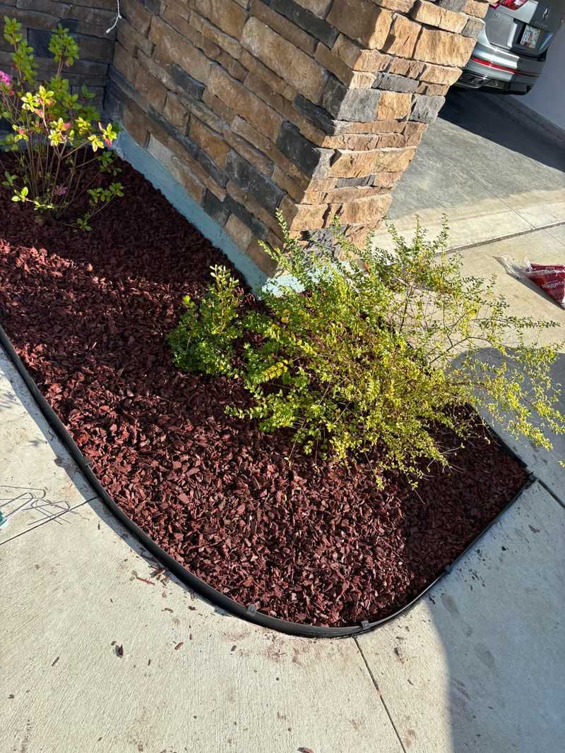 Overuse of Dyed Mulch (Bright Red or Black)