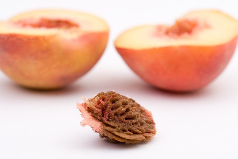 Peach Pits