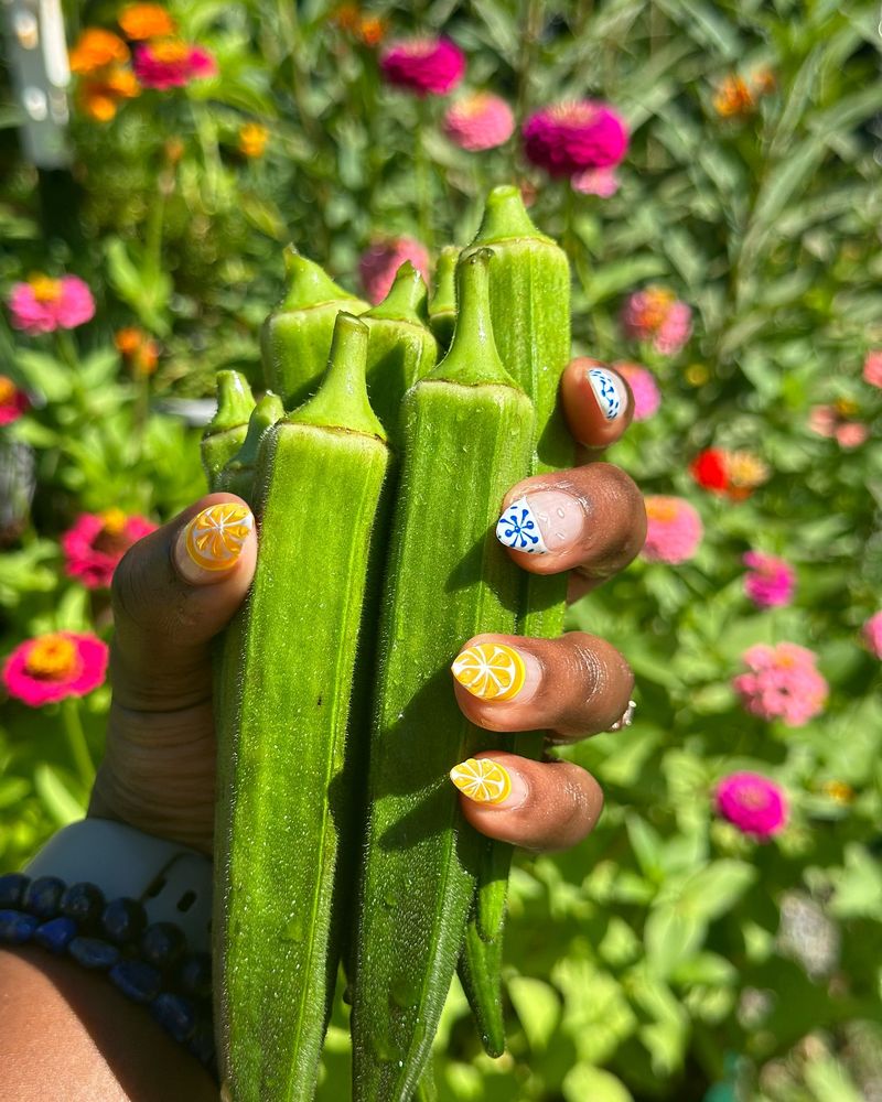 Okra (50-65 days) – Loves extreme heat.