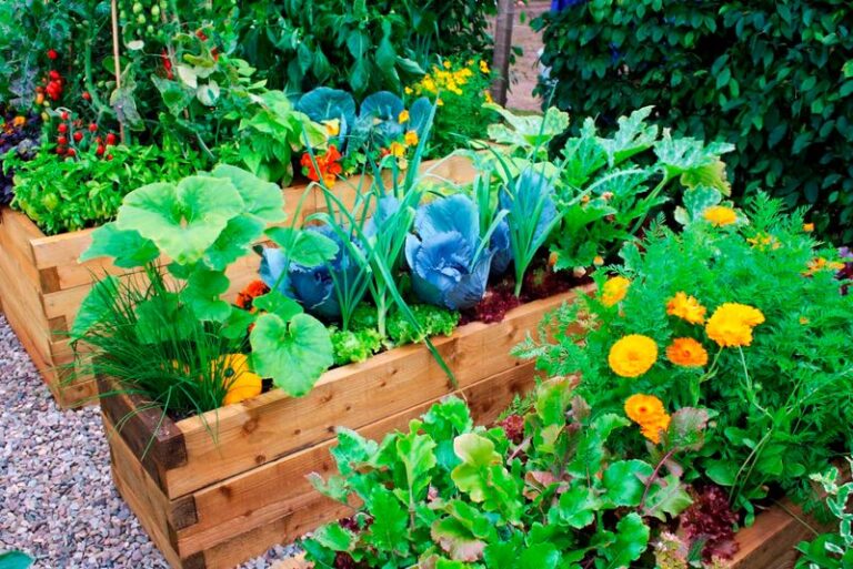 15 Essential Tips for Building and Maintaining a Raised Bed Garden ...