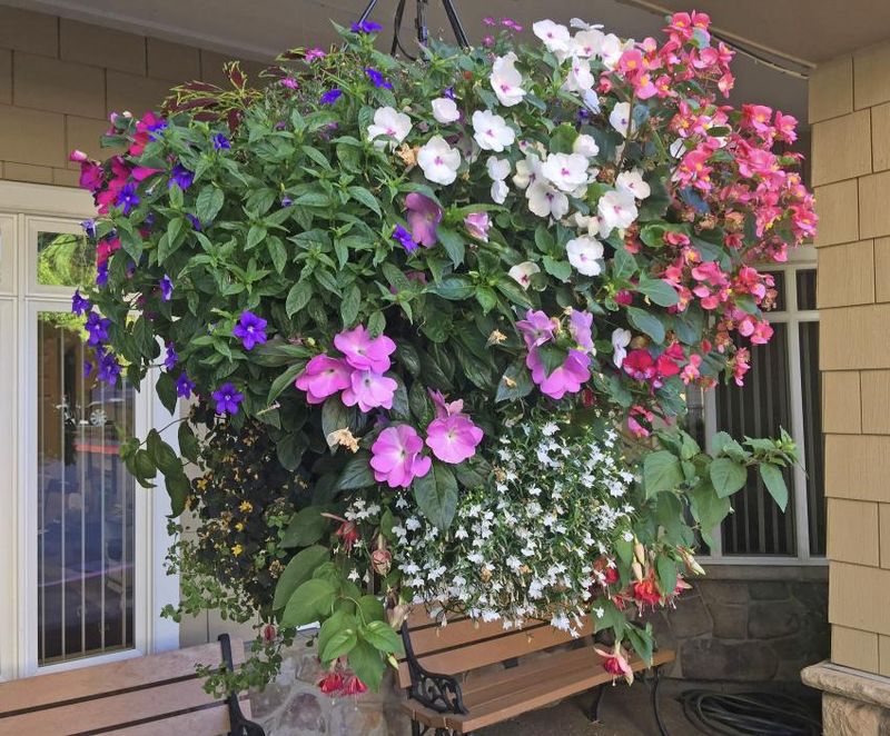 Double Pot for Moisture Retention