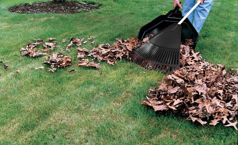 Clean Up Winter Debris