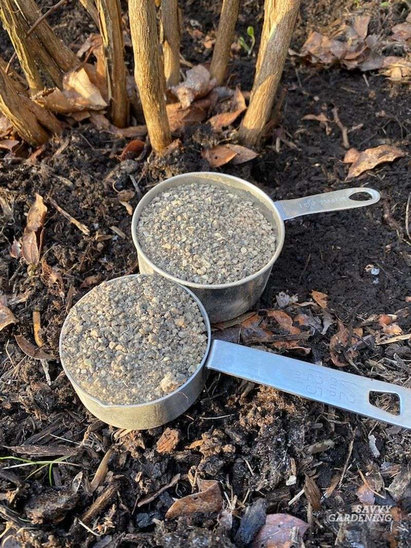 Feed With the Right Fertilizer