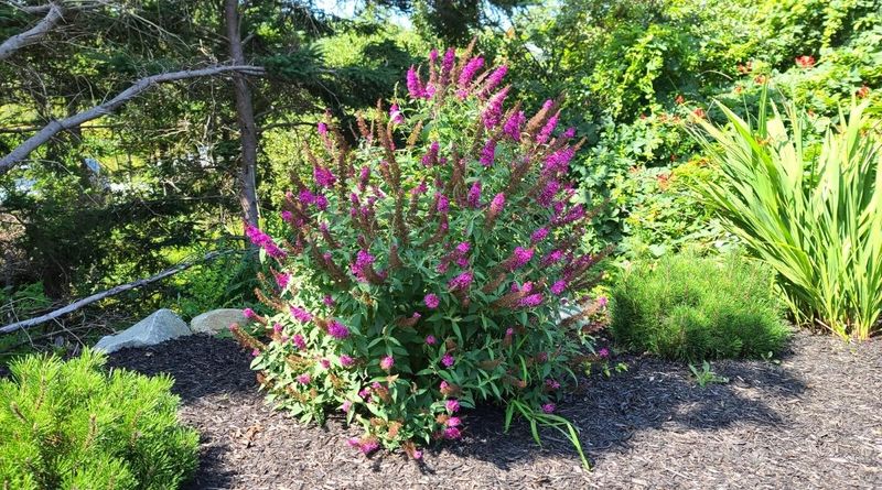 Not Considering Future Growth