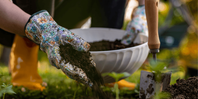 Timing Your Planting