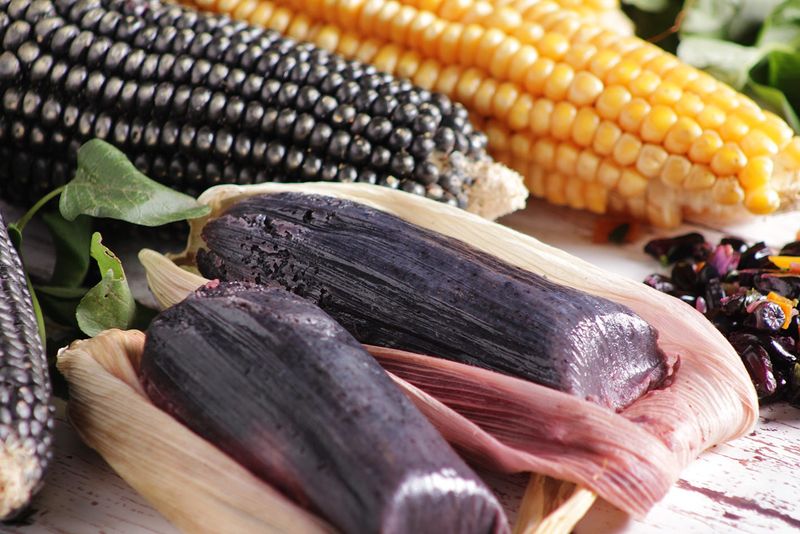 Purple Corn