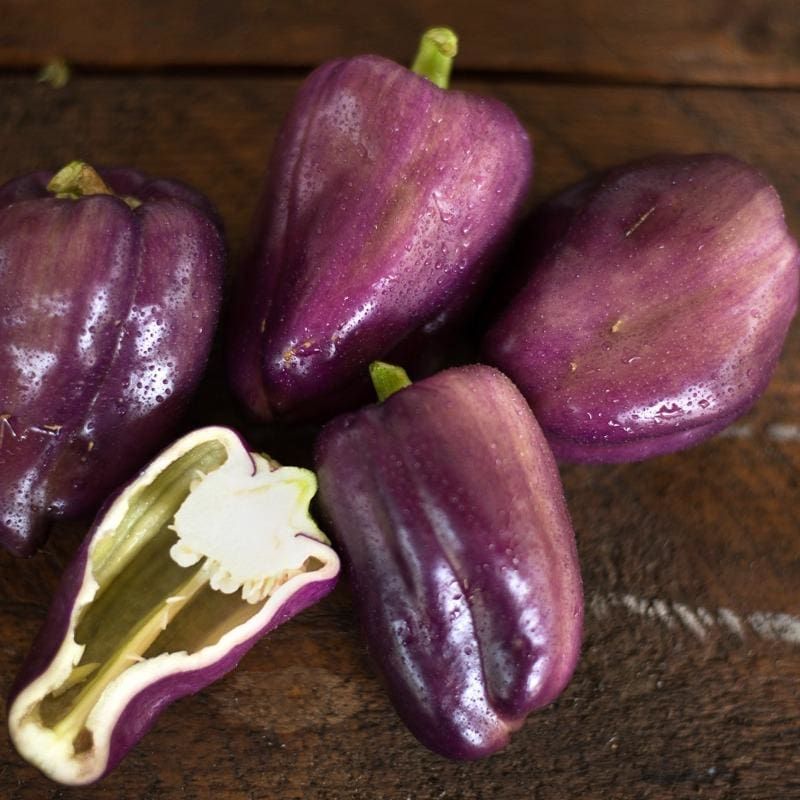 Purple Bell Pepper