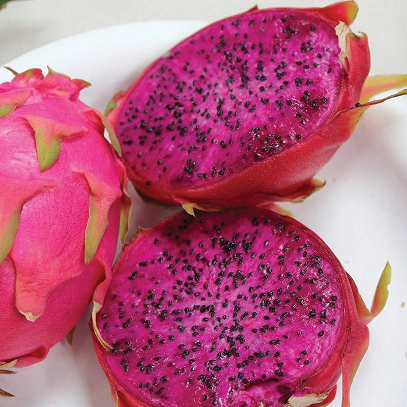 Purple Dragon Fruit