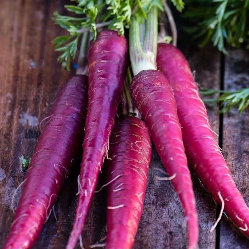 Purple Carrot