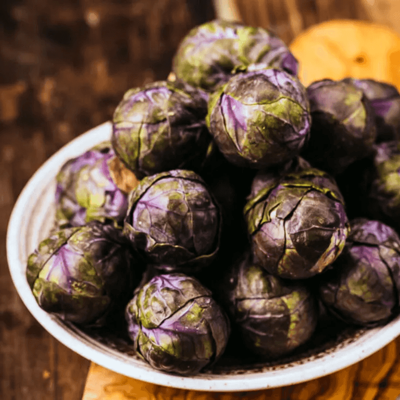 Purple Brussels Sprouts