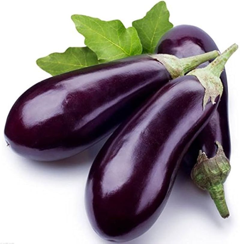 Purple Eggplant