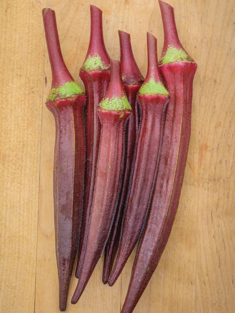 Purple Okra