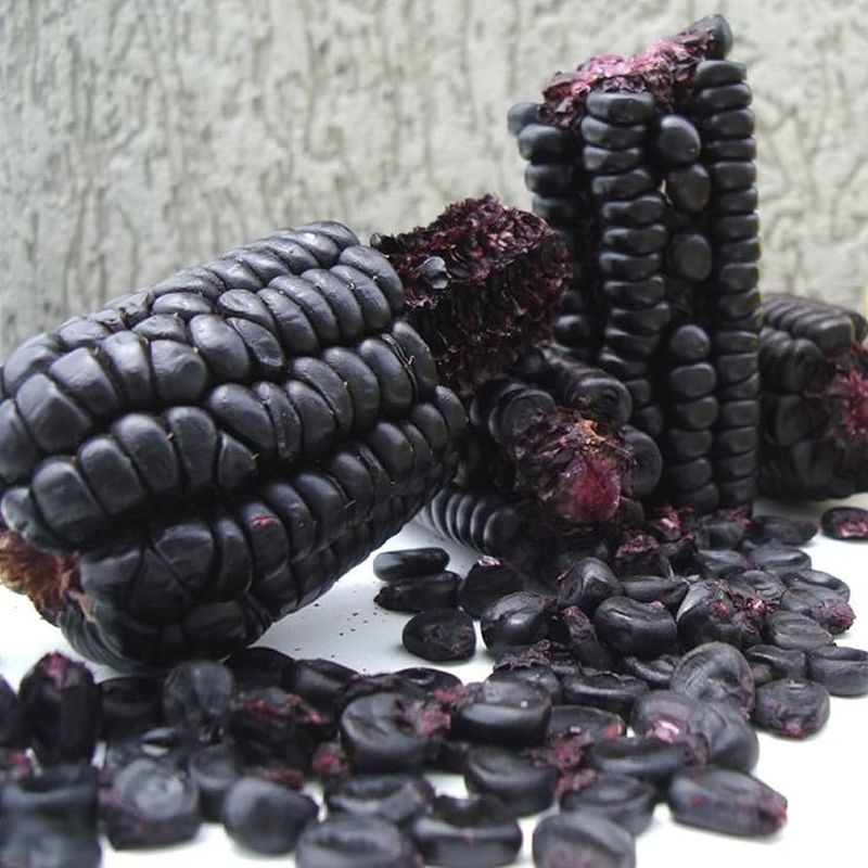 Purple Corn