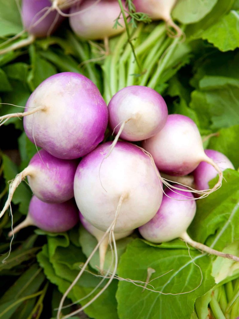 Turnips