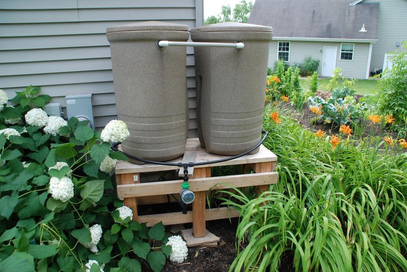Rain Barrels