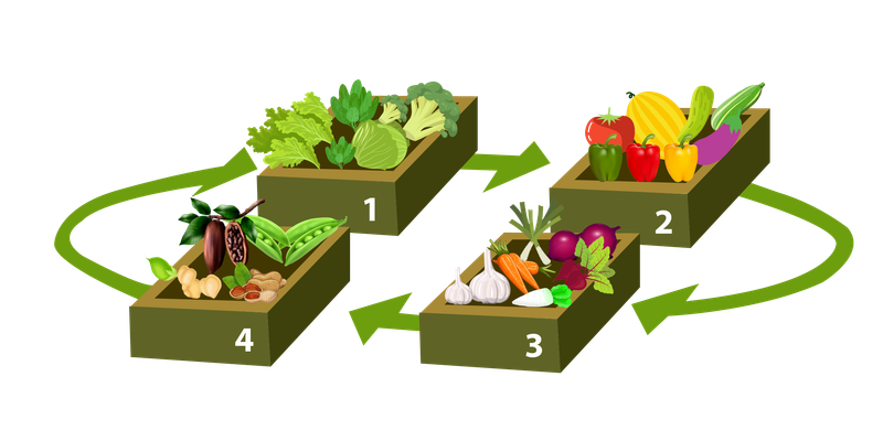 Crop Rotation