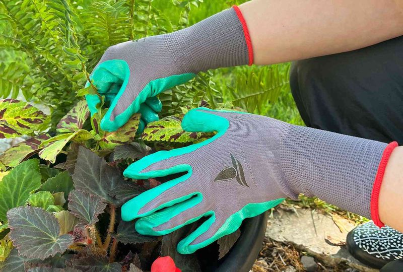 Garden Gloves