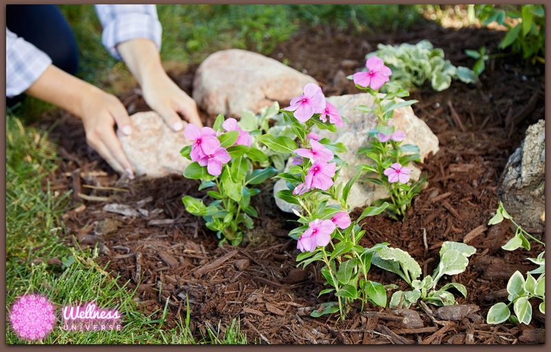 Use Mulch to Retain Moisture & Regulate Temp