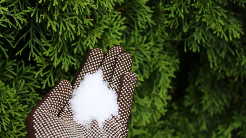 Try Epsom Salt for a Magnesium Boost