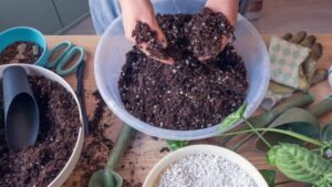 The Best Soil Mix for Container Gardening - Complete Gardening