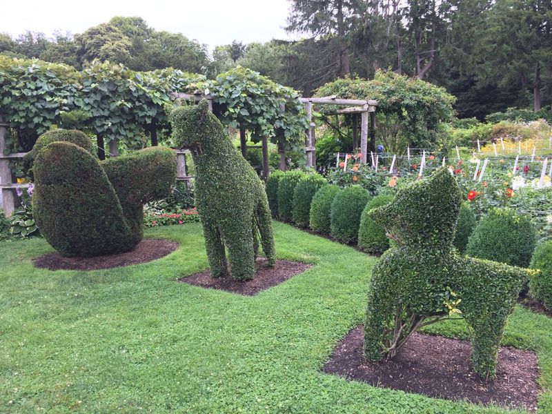 Topiary Gardens