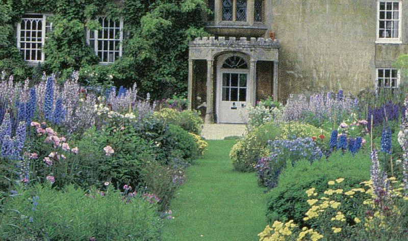 Herbaceous Perennials