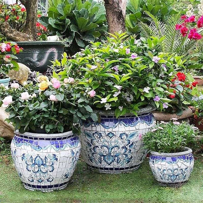 Ceramic Pot Collection