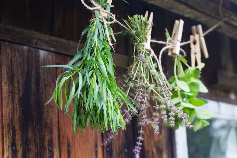 Hanging Herb Drying Racks
