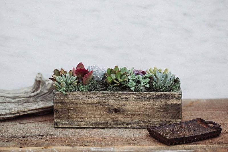 Reclaimed Wood Trough