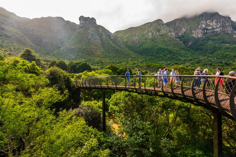 Kirstenbosch National Botanical Garden, South Africa