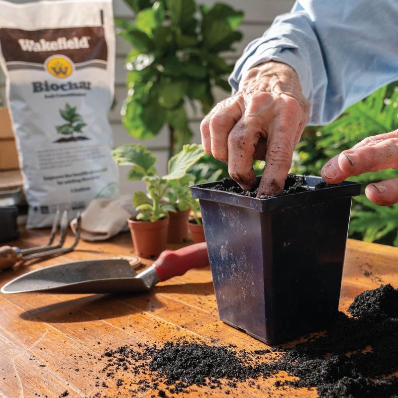 Biochar-Rich Mix