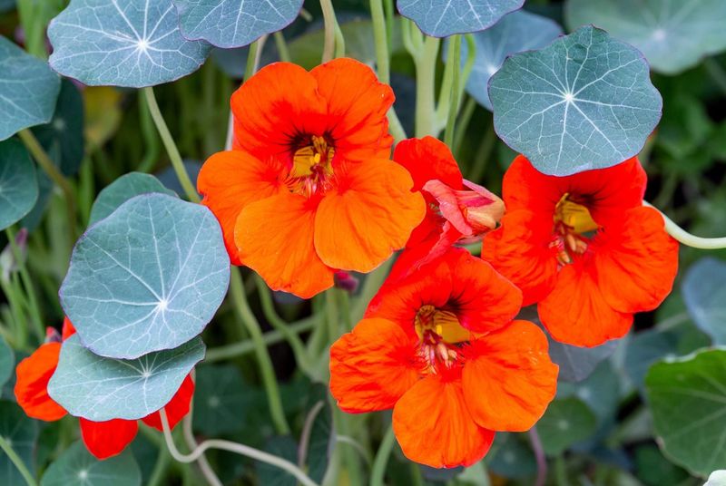 Heritage and Culture Exploration