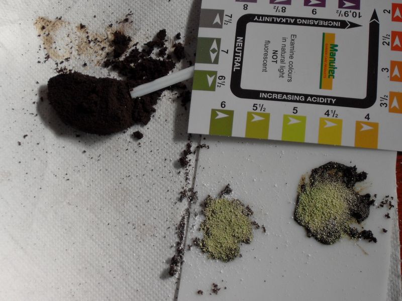 pH Neutralizing Myth