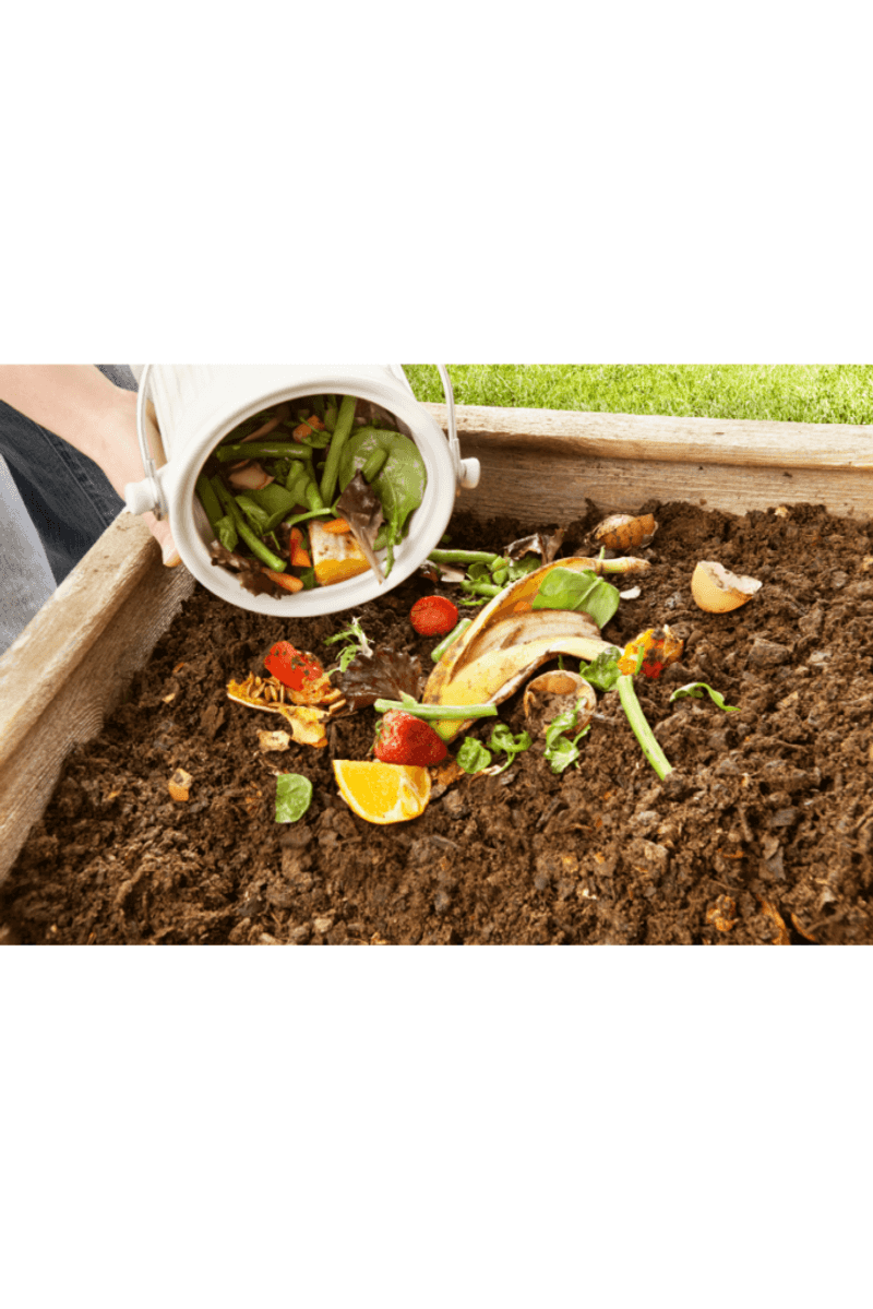 Compost Wasn’t a Trend — It Was Common Sense