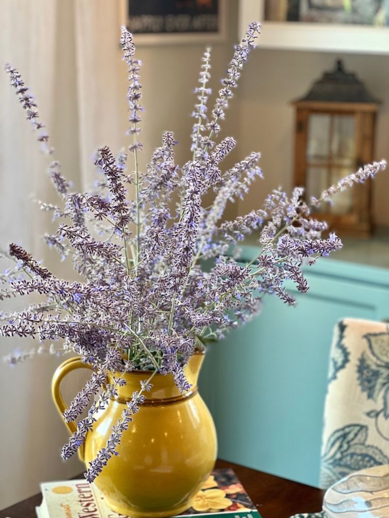 Russian Sage (Perovskia atriplicifolia)