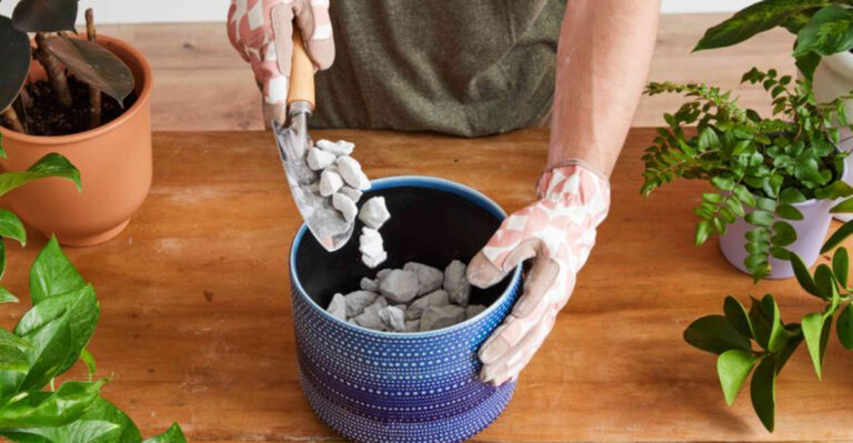 Should You Put Rocks at the Bottom of a Planter? Plant Experts Say Skip It—Here’s Why