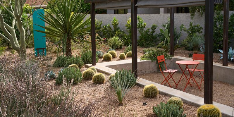 Water-Hungry Gardens