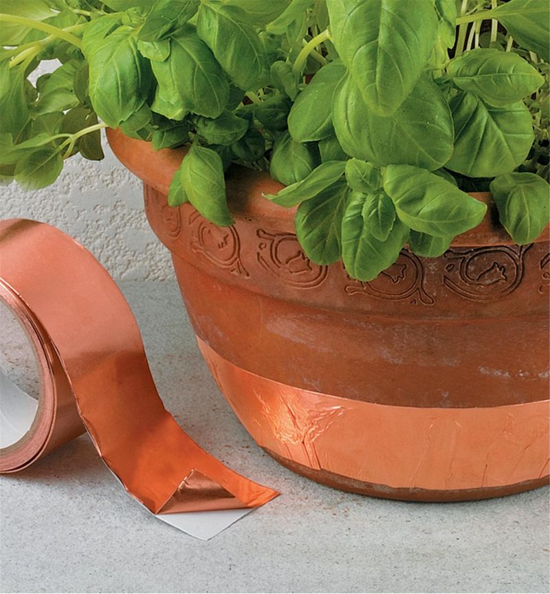 Copper Tape – Creates a tiny electric charge that deters slugs/snails.