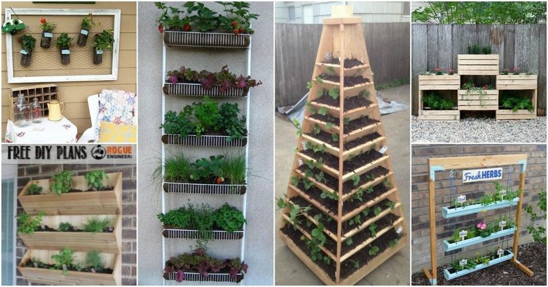 Vertical Gardening Techniques