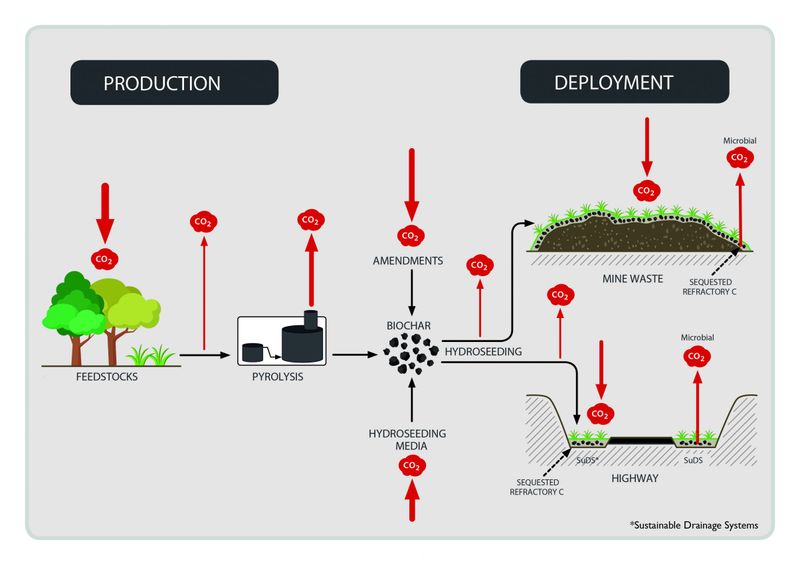 Carbon Sequestration Potential