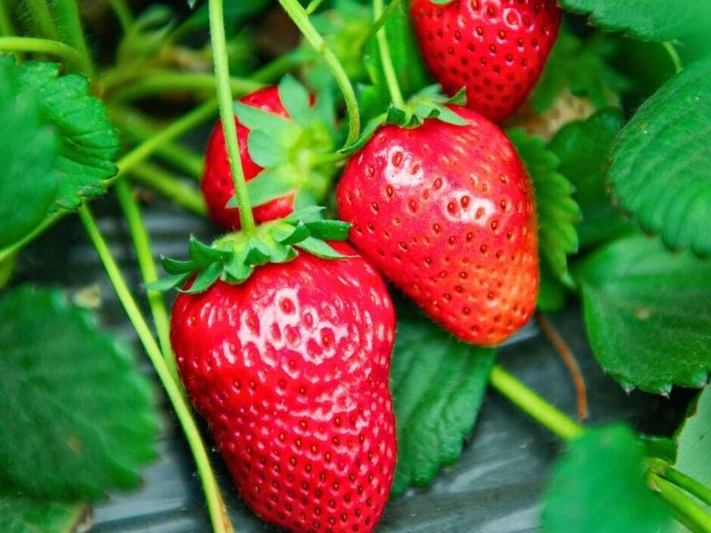 Using Epsom Salt for Magnesium Boost