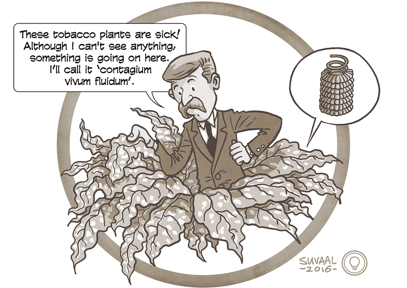 It Was the First Virus Ever Discovered 🔬