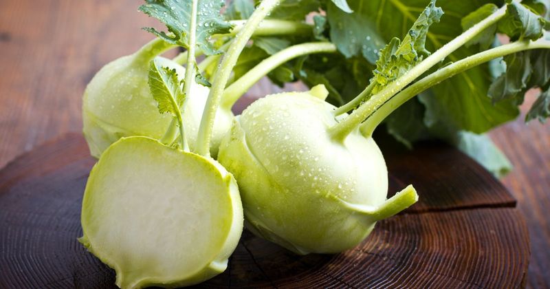 Kohlrabi
