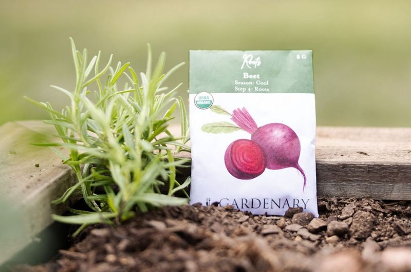 Soak Seeds Before Planting for Faster Germination