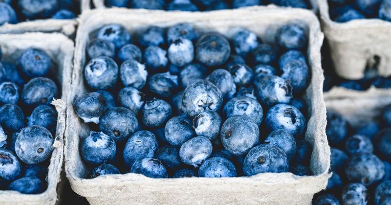 Blueberries