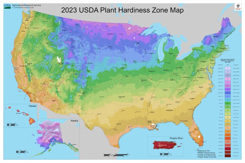 Pick the Right Plants for Your Zone