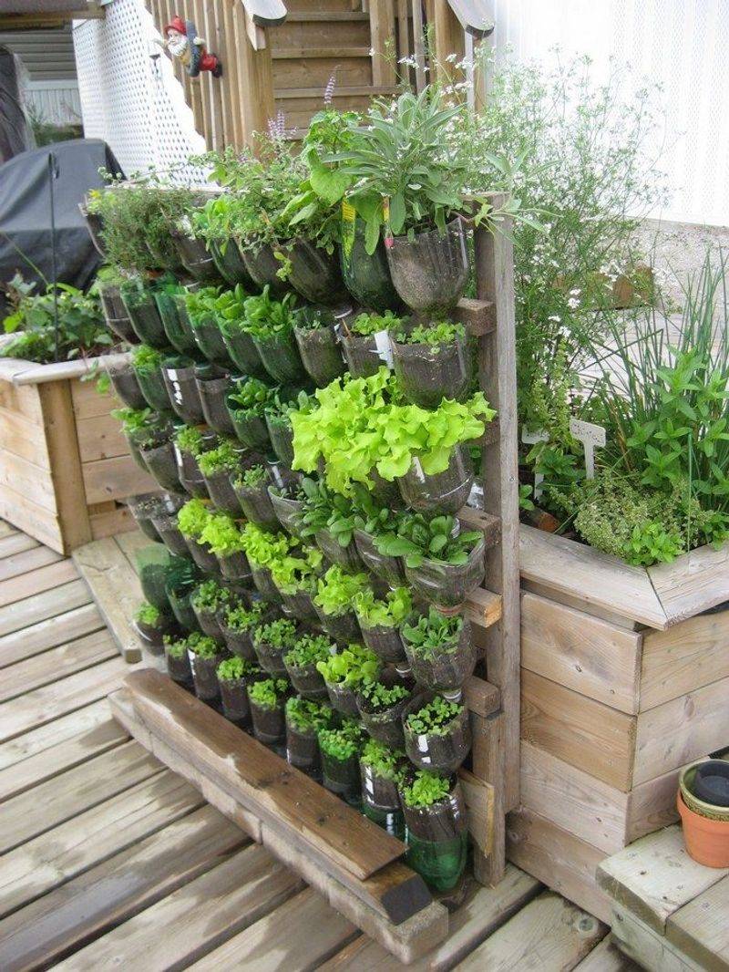 Edible Vertical Garden
